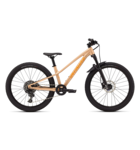 Specialized Riprock Comp 24 Gloss Photon Tint Over Flake Silver / Orange Zest