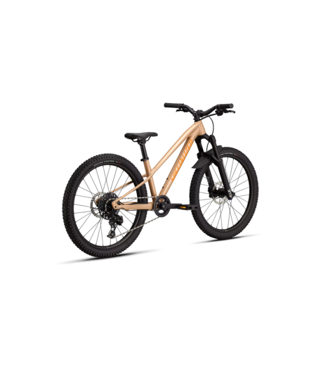 Specialized Riprock Comp 24 Gloss Photon Tint Over Flake Silver / Orange Zest