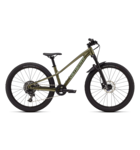 Specialized Riprock Comp 24 Gloss Laurel Green Metallic / Pistachio