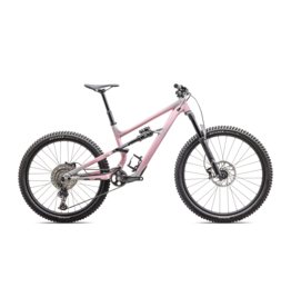 Specialized Status 140 2 Satin Cool Grey / Desert Rose / Black