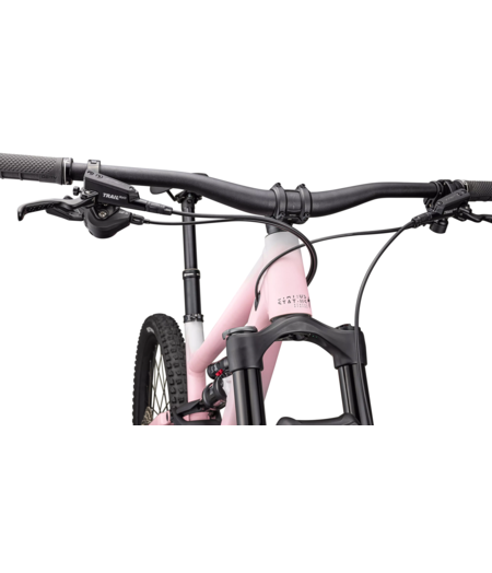 Specialized Status 140 2 Satin Cool Grey / Desert Rose / Black