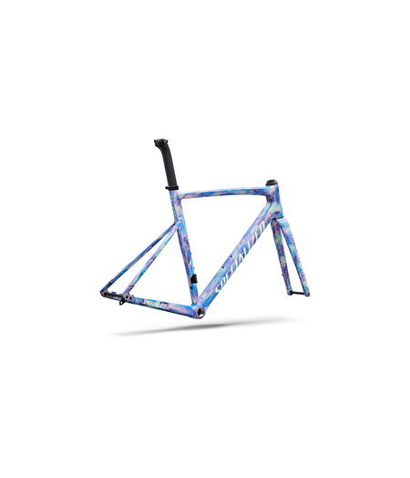 Specialized Allez Sprint Frameset Multi-Color Dry Brush/White