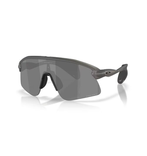 Oakley Stunt Devil Grey Smoke Prizm Black