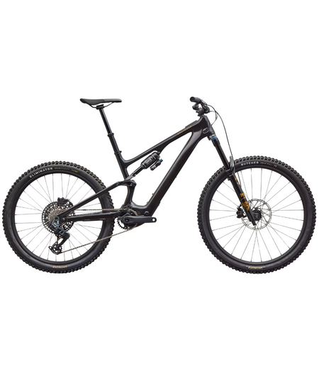 Specialized Turbo Levo SL 2 Expert Carbon