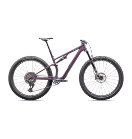 Specialized Epic 8 EVO Expert Gloss Cast Lilac / Dune White