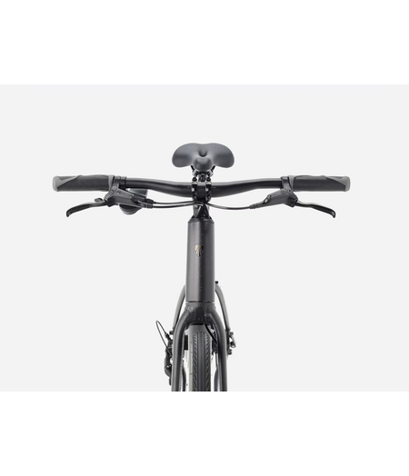 Trek FX 2 Stepover Gen 4 Carbon Dark Grey