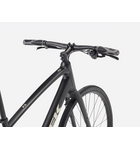 Trek FX 2 Stepover Gen 4 Carbon Dark Grey