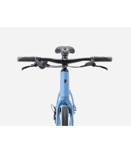 Trek FX 2 Stepover Gen 4 Fjord Blue