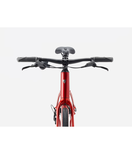 Trek FX 2 Stepover Gen 4 Fury Red