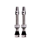 CushCore Tubeless Valves (Pair) Silver 44mm