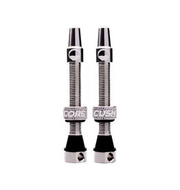 CushCore Tubeless Valves (Pair) Silver 44mm
