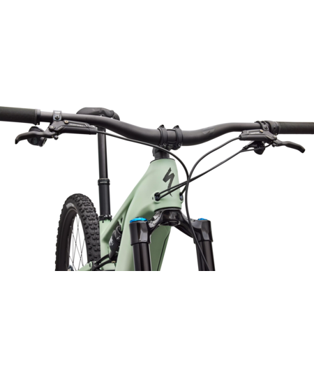 Specialized Turbo Levo R Expert - Satin Pistachio / Dark Moss Green