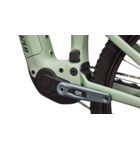 Specialized Turbo Levo R Expert - Satin Pistachio / Dark Moss Green