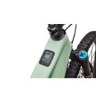 Specialized Turbo Levo R Expert - Satin Pistachio / Dark Moss Green