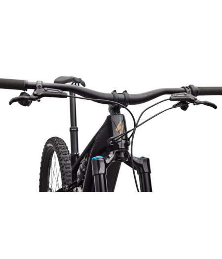 Specialized Turbo Levo R Expert - Gloss Carbon / Burnt Gold Metallic