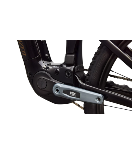 Specialized Turbo Levo R Expert - Gloss Carbon / Burnt Gold Metallic