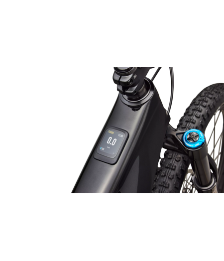 Specialized Turbo Levo R Expert - Gloss Carbon / Burnt Gold Metallic