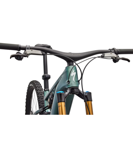 Specialized S-Works Turbo Levo R - Gloss Premium Fjord Metallic / White