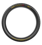 Pirelli Scorpion Race XC RC Team 29x2.4