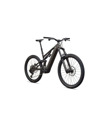 Specialized Turbo Levo 4 EVO Comp - Gloss Warm Smoke / Pistachio