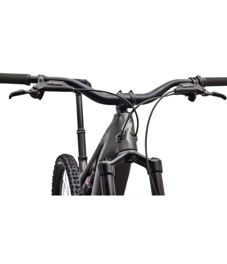 Specialized Turbo Levo 4 EVO Comp - Gloss Warm Smoke / Pistachio