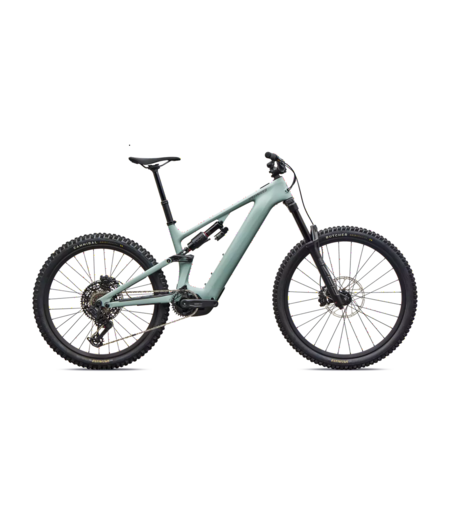 Specialized Turbo Levo 4 EVO Comp - Satin Agave Grey / Desert Metallic