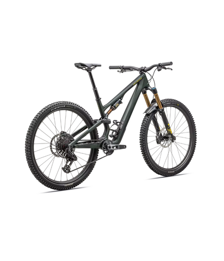 Specialized Stumpjumper 15 Pro Satin Green Tint / Gunmetal / Satin Metallic Sulphur