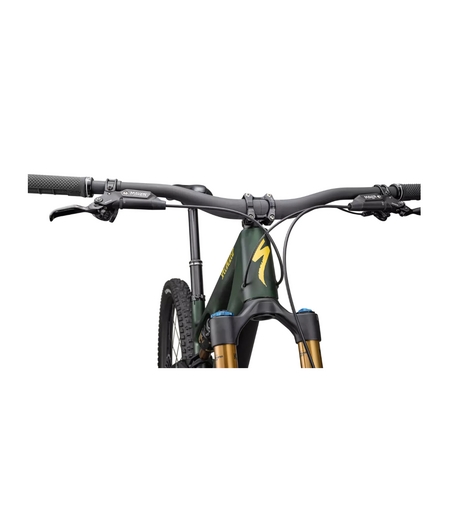 Specialized Stumpjumper 15 Pro Satin Green Tint / Gunmetal / Satin Metallic Sulphur