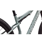 Specialized Epic 9 Expert Gloss Agave Grey / Metallic White Silver
