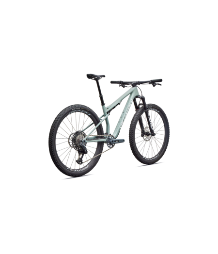 Specialized Epic 9 Expert Gloss Agave Grey / Metallic White Silver