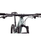 Specialized Epic 9 Expert Gloss Agave Grey / Metallic White Silver