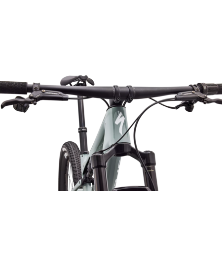 Specialized Epic 9 Expert Gloss Agave Grey / Metallic White Silver