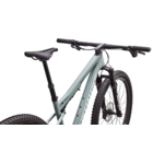 Specialized Epic 9 Expert Gloss Agave Grey / Metallic White Silver