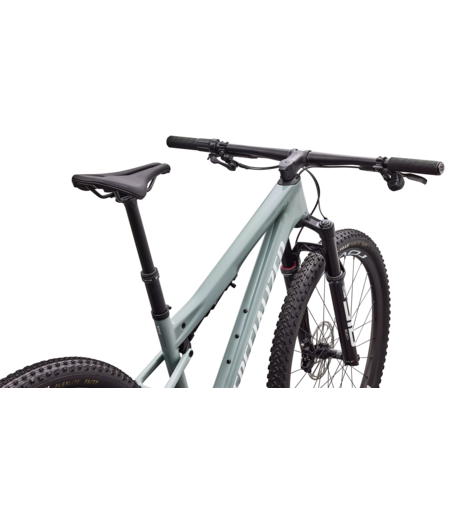 Specialized Epic 9 Expert Gloss Agave Grey / Metallic White Silver