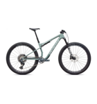 Specialized Epic 9 Expert Gloss Agave Grey / Metallic White Silver