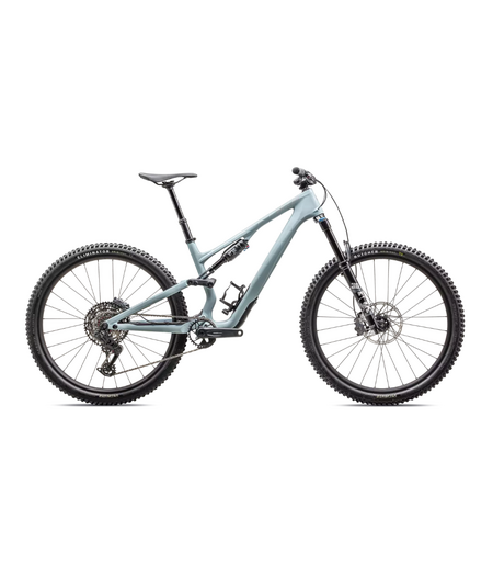 Specialized Stumpjumper 15 Comp Gloss Seafoam / Silver Dust