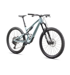 Specialized Stumpjumper 15 Comp Gloss Seafoam / Silver Dust