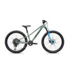 Specialized Riprock Comp 24 Gloss Agave Grey / Oak Green Metallic