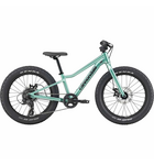 Cannondale Kids Trail Plus 20  Cactus Green
