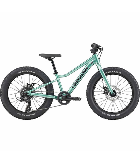 Cannondale Kids Trail Plus 20  Cactus Green
