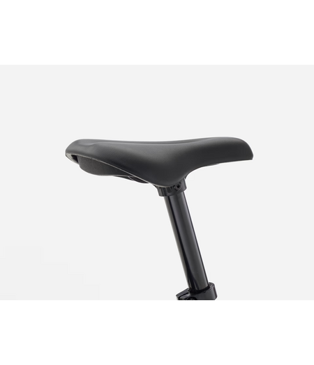 Trek Precaliber 16" Coaster Brake Buff Beige