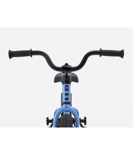 Trek Precaliber 12" Coaster Brake Fjord Blue