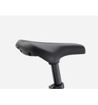 Trek Precaliber 12" Coaster Brake Fjord Blue