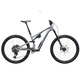 Specialized Stumpjumper 15 EVO Comp Alloy Satin Cool Grey / Smoke