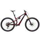Specialized S-Works Stumpjumper 15 EVO Gloss Solidity Metallic / Bordeaux Metallic / Brushed Chrome