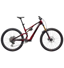 Specialized S-Works Stumpjumper 15 EVO Gloss Solidity Metallic / Bordeaux Metallic / Brushed Chrome