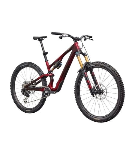Specialized S-Works Stumpjumper 15 EVO Gloss Solidity Metallic / Bordeaux Metallic / Brushed Chrome