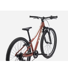 Trek Precaliber 24" wheel 8-Speed Suspension Sedona Red