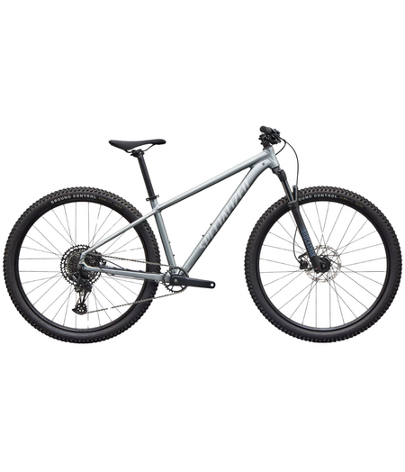 Specialized Rockhopper Comp Satin Shadow Silver / Silver Dust