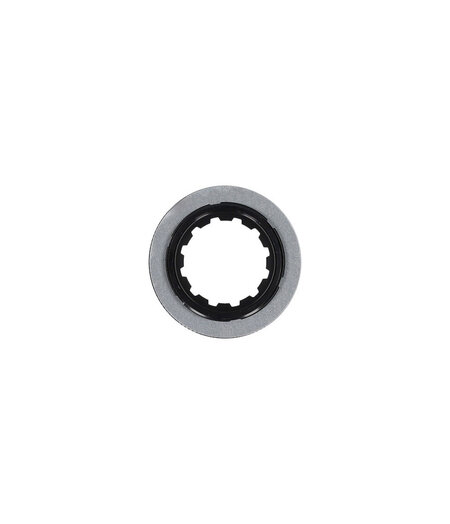 Zipp Disc Lock Ring - CenterLock w/Internal Serration, Zipp Logo Black
